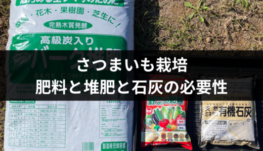 初心者必見！サツマイモ栽培に苦土石灰・堆肥・肥料が必要か解説