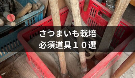 サツマイモを植える際の必須道具10選と購入先【初心者向け】